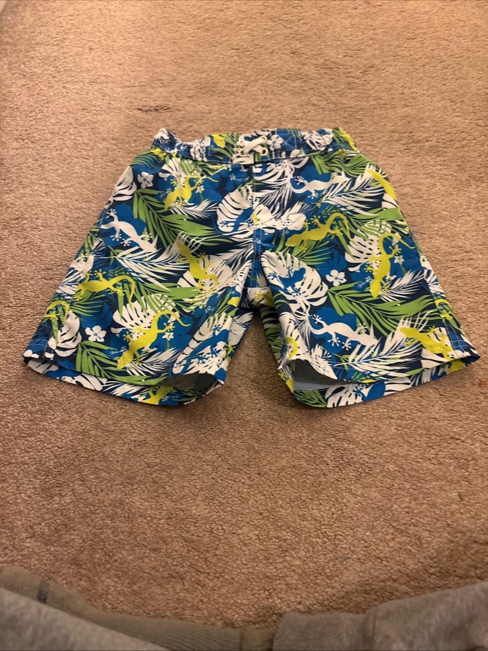 Boy’s IXtreme Swim Trunks Size 3T Blue, White And Green